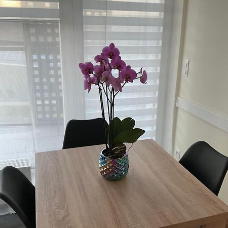 Апартаменты Apartament „Dwie Wieze” Катовице Экстерьер фото