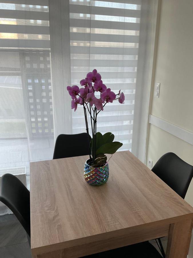 Апартаменты Apartament „Dwie Wieze” Катовице Экстерьер фото